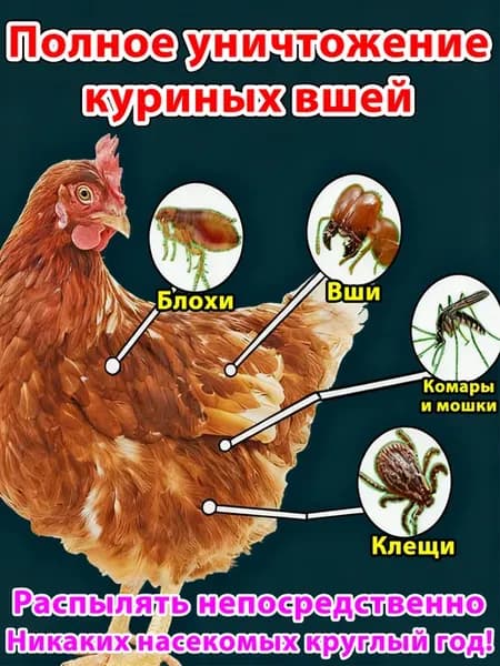 Спрей для уничтожения куриных вшей