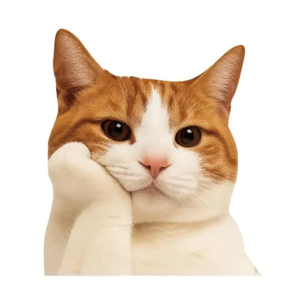 Наклейка на авто Кот мем