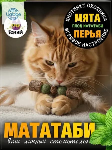 Игрушка для кошек мататаби для чистки зубов / плод мататаби с перьями и шариками мяты / японская мята кошачья (чётки 20 см)