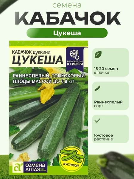 Семена кабачок цукини до 1 кг, семена цуккини