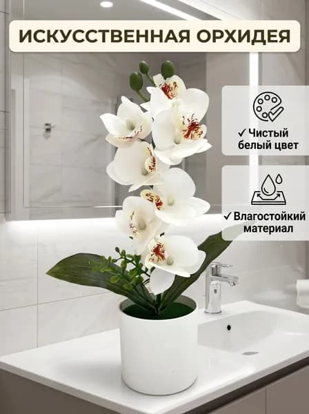 Стабилизированные цветы, 10 см, 80 гр, 1 шт