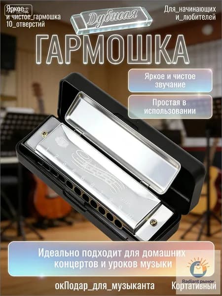 Гармоника премиумкласса серебристая, диатоническая