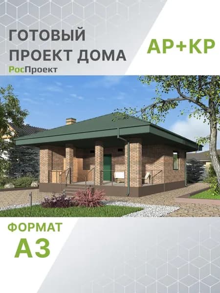 Проект RPg3486 - Одноэтажный дом с таррасой и уличной печью-камином (30 м2, 10м x8м)