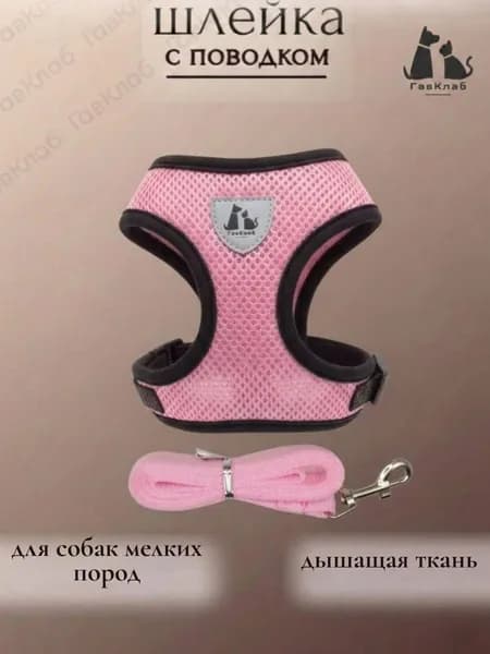Шлейка для собак мелких и средних пород с поводком