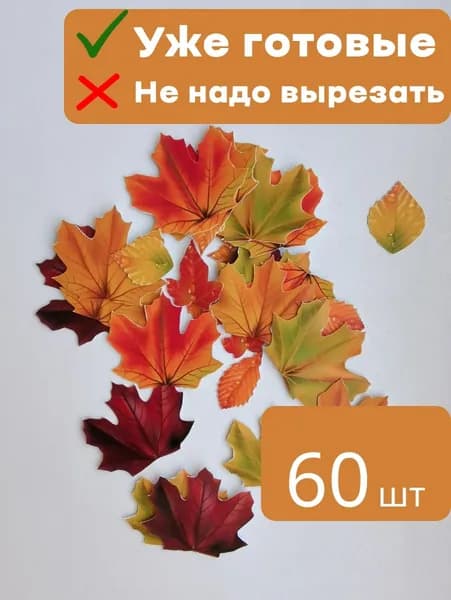 Осенние кленовые листья для букета и фотосессии вырезанные