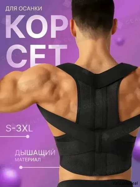 Тренажер для спины 019ba6b7b7887628baa99ee1fd82f4e2