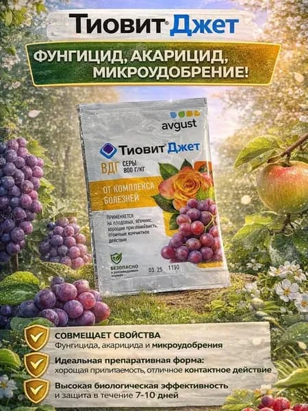 Средство от болезней растений Тиовит Джет 30 гр