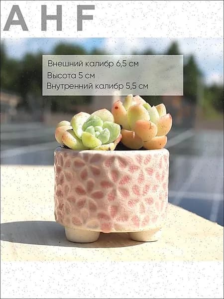 Горшок для цветов 5 см, 1 шт, цвет красный