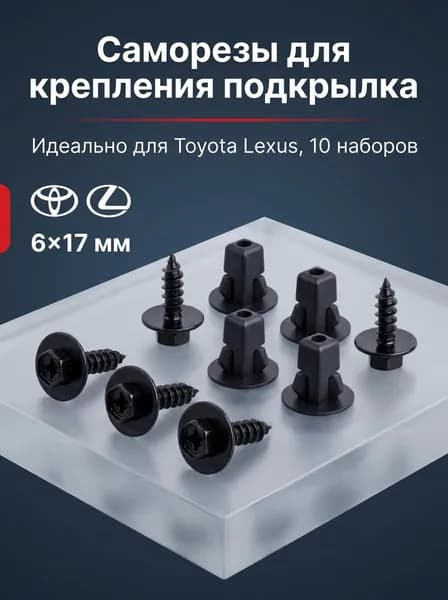 Метиз автомобильный М6 х 1, 17 мм, 10 шт.