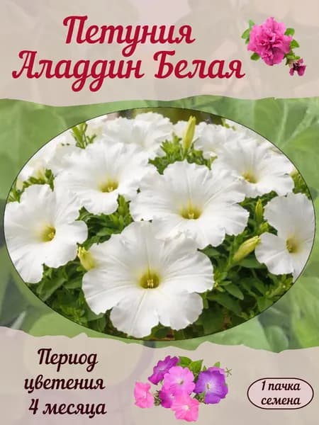 Петуния Аладдин Белая, семена, 10 шт.