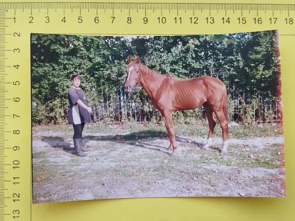 Женщина с лошадью. Фотография.Россия -2001 год