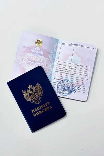 Паспорт боксера