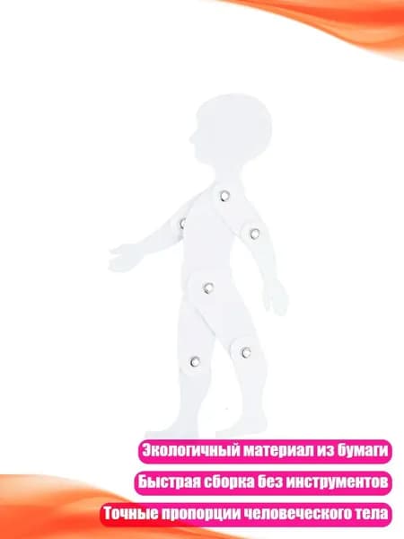 Художественная анатомическая кукла для рисования