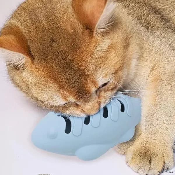 Игрушки для котят с прорезывателями зубов