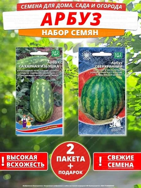 Семена арбуз для дома сада посадки