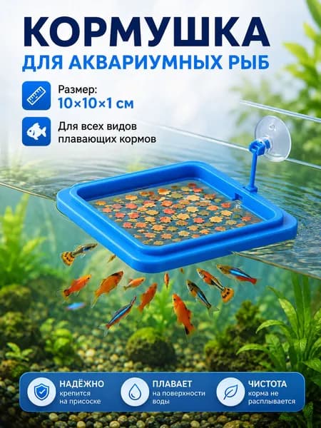 Кормушка для аквариумных рыб, 10х10х1 см, квадратная, на присоске / Кормушка для аквариума