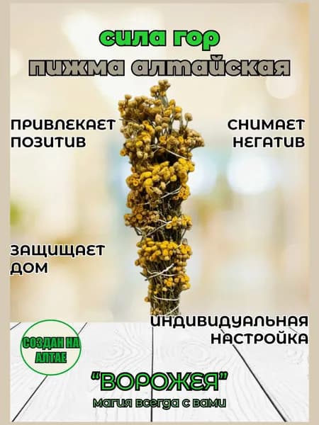 Пижма Алтайская для окуривания и медитаций, подарок в каждой упаковке.