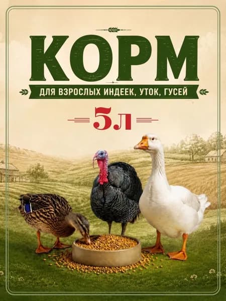 ( 5 литров) Корм для взрослых индеек, уток, гусей