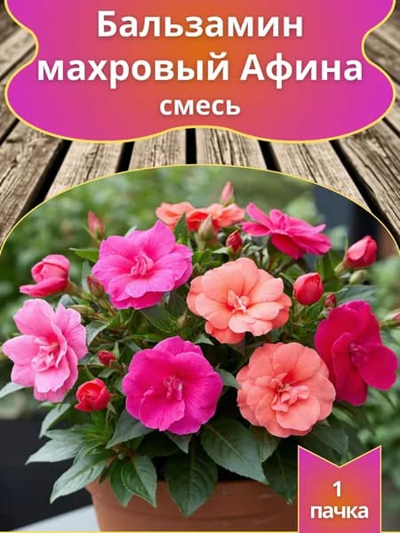 Бальзамин Афина F1 махровый, смесь сортов (семена)