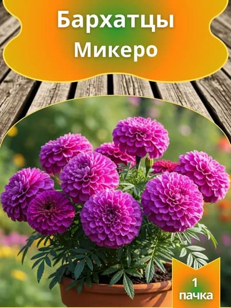 Бархатцы Микеро, семена, 10 шт.