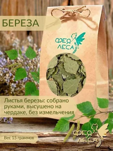 Береза лист для фитосборов, творчества и здоровья