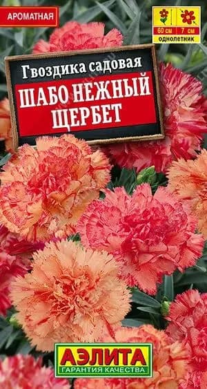 Семена Гвоздика садовая Шабо Нежный Щербет (0,05г) Гвоздика для срезки 60 см с махровыми цветами 5-7 см для букетов