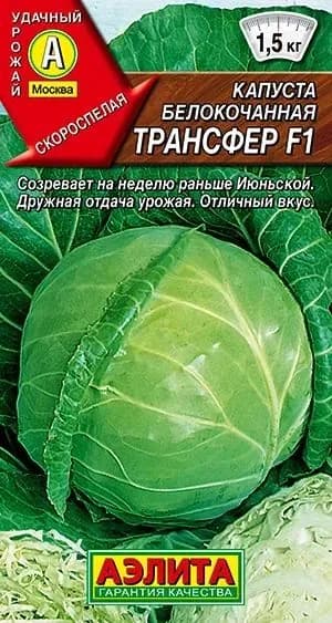 Семена Капуста б/к Трансфер F1, 20 штук семян в пачке, Агрофирма Аэлита