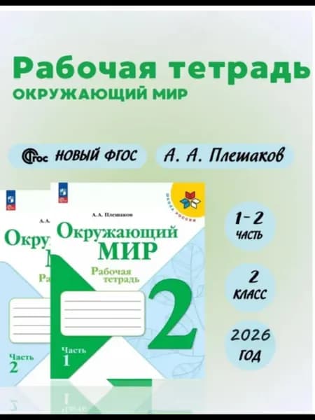 Комплект Плешаков Окружающий мир 2 кл Рабочая тетрадь В 2 ч