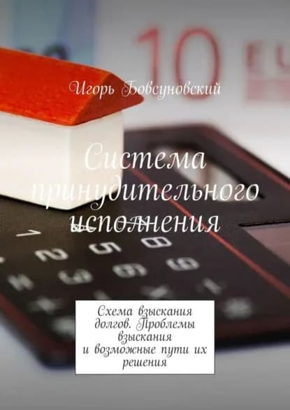 Система принудительного исполнения. Схема взыскания долгов. Проблемы взыскания и возможные пути их решения | Бовсуновский Игорь | Электронная книга
