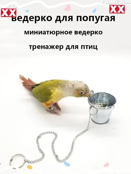 Качественный мяч 3.5 см для попугая