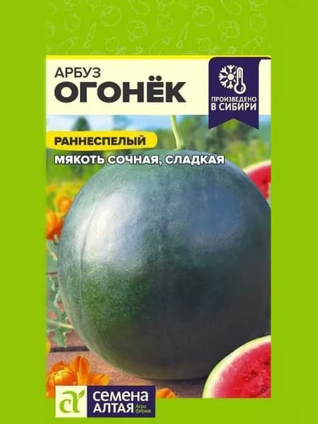 Семена Алтая Семена ,1шт