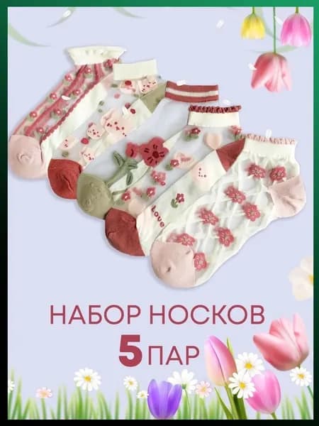 Носки женские, 5 пар