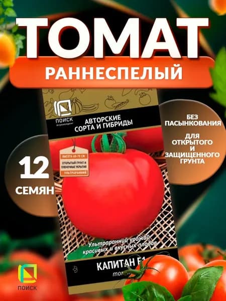 Семена томата Капитан F1