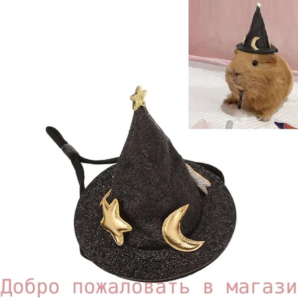 Одежда для животных