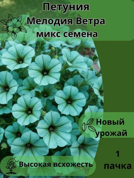 Петуния Мелодия Ветра, семена 10 шт