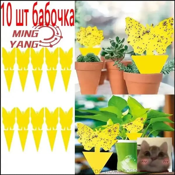 Ловушка для садовых вредителей