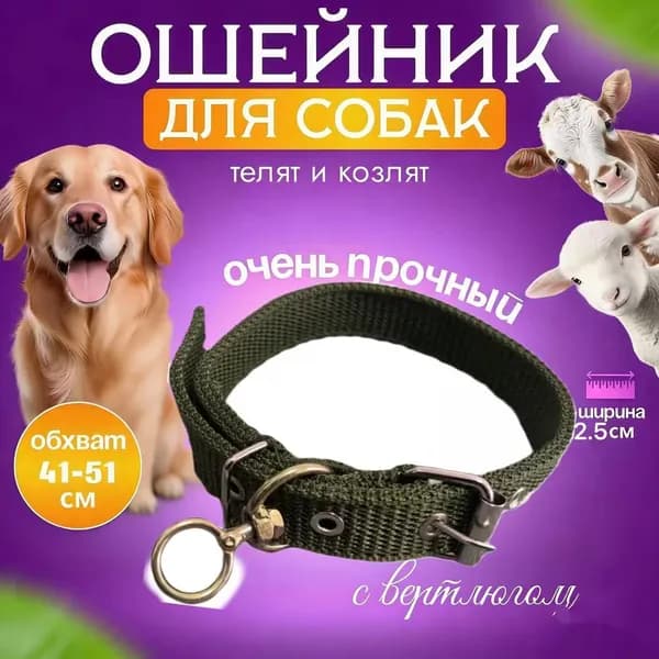 Ошейник