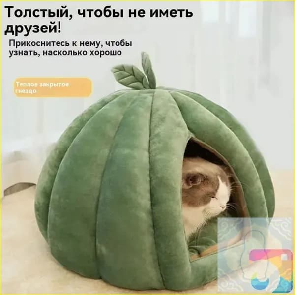 Эксклюзивный дом питомца