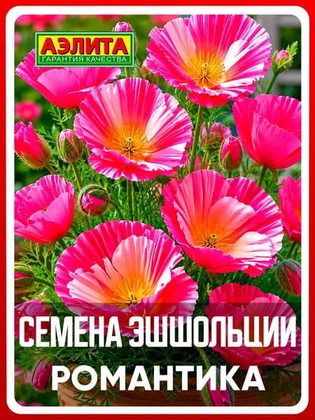 Семена эшшольция "Романтика", махровая, 20 шт, однолетние цветы, для дачи, сада и огорода, клумбы, в открытый грунт