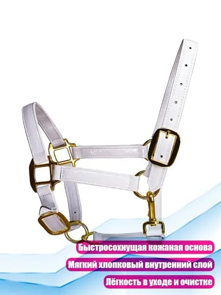 Золотистая уздечка для верховой езды, Белый - L