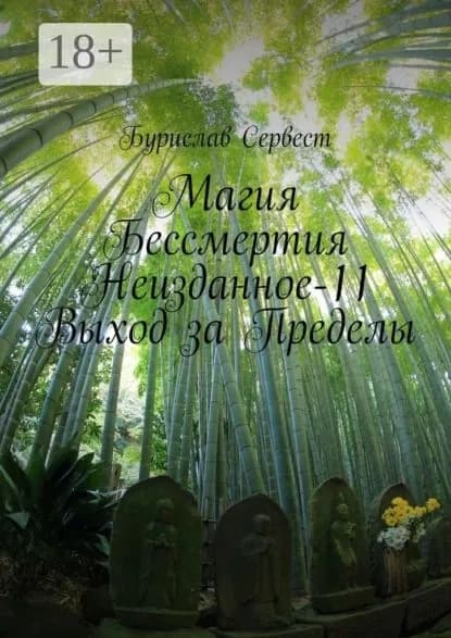 Магия бессмертия. Неизданное-11. Выход за пределы | Сервест Бурислав | Электронная книга