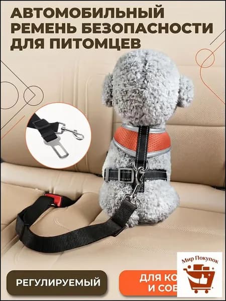 Ремень безопасности для собак в машину