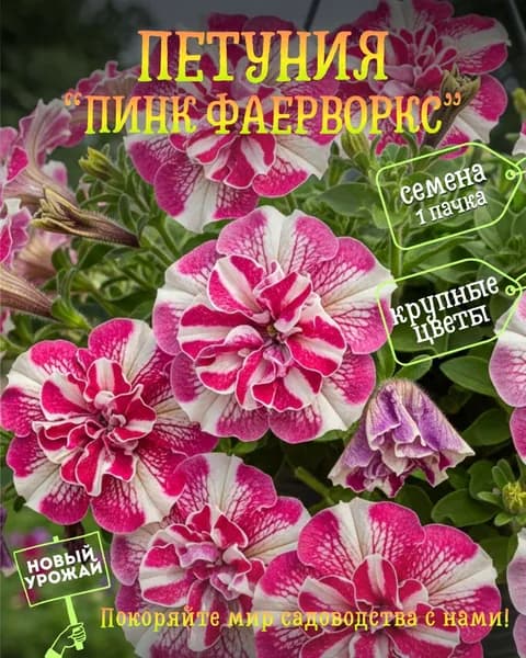 Петуния ампельная Пинк Фаерворкс (Pink Fireworks - Розовый фейерверк), семена, 10 шт.