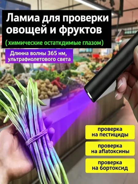 Фонарь ручной