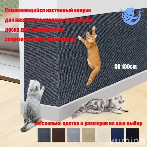 Эксклюзивная замена когтеточки