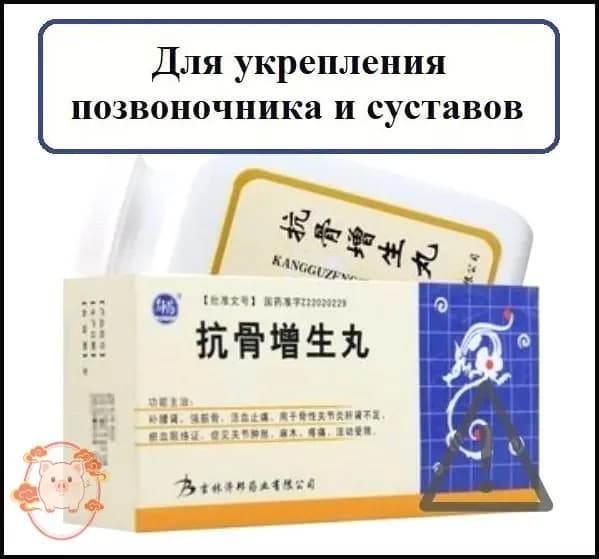Кан Гу Цзэн Шэн Вань, 220 пил., Kanggu Zengsheng Wan для суставов и позвоночника