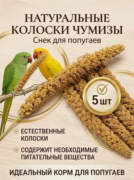 Чумиза для попугаев 5 шт. сенегальское просо лакомство игрушка для птиц и грызунов , урожай 2025 года - КОПОШИЛКА бренд от производителя