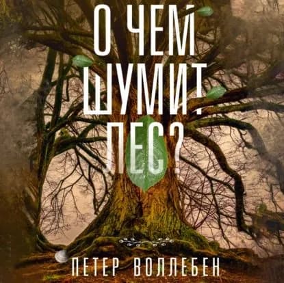 О чем шумит лес? | Вольлебен Петер | Электронная аудиокнига