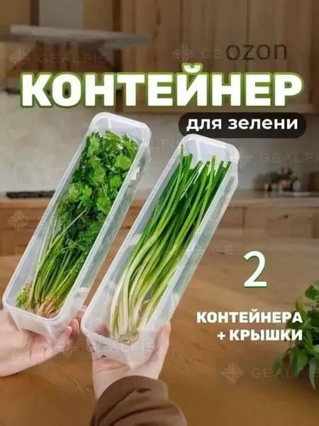 Контейнер пищевой 25 см 2 шт пластик, можно мыть в посудомойке