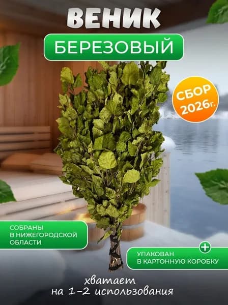 Берёзовый веник